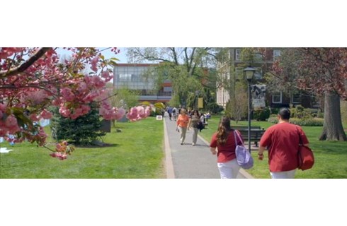 Adelphi University