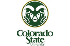 Colorado State University