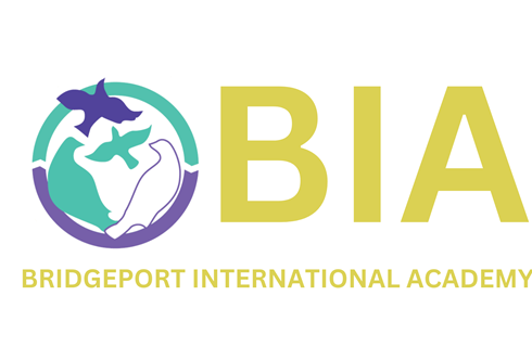 Bridgeport International Academy