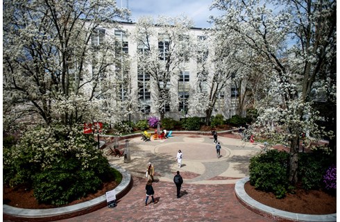 Northeastern University_D'Amore-McKim_School of Business