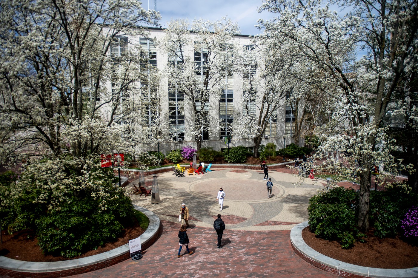 The Newman School