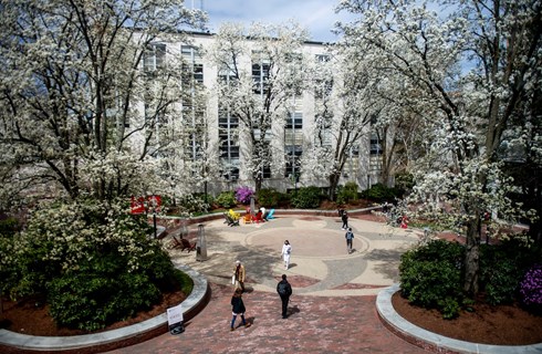 The Newman School