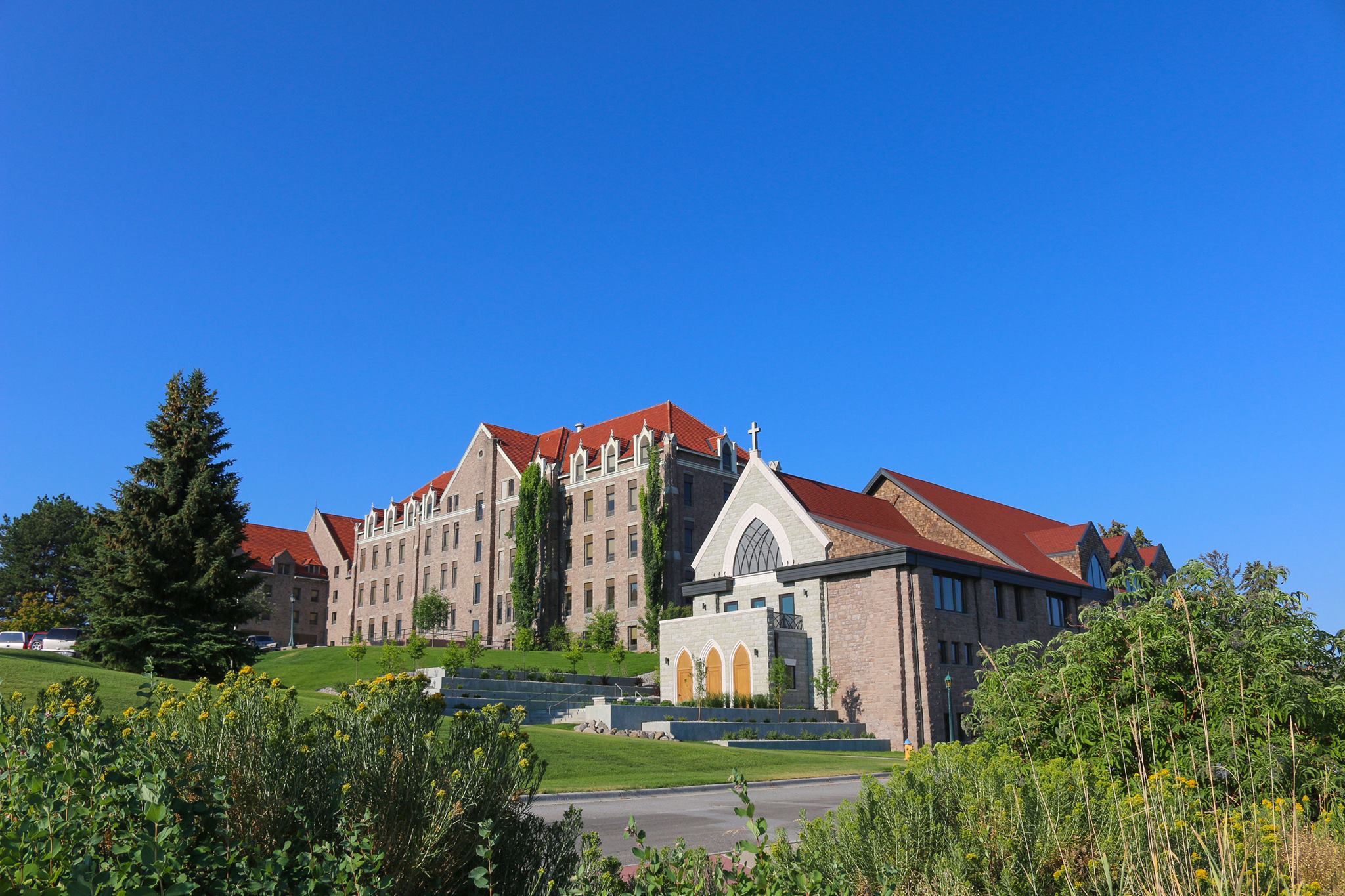 Carroll College