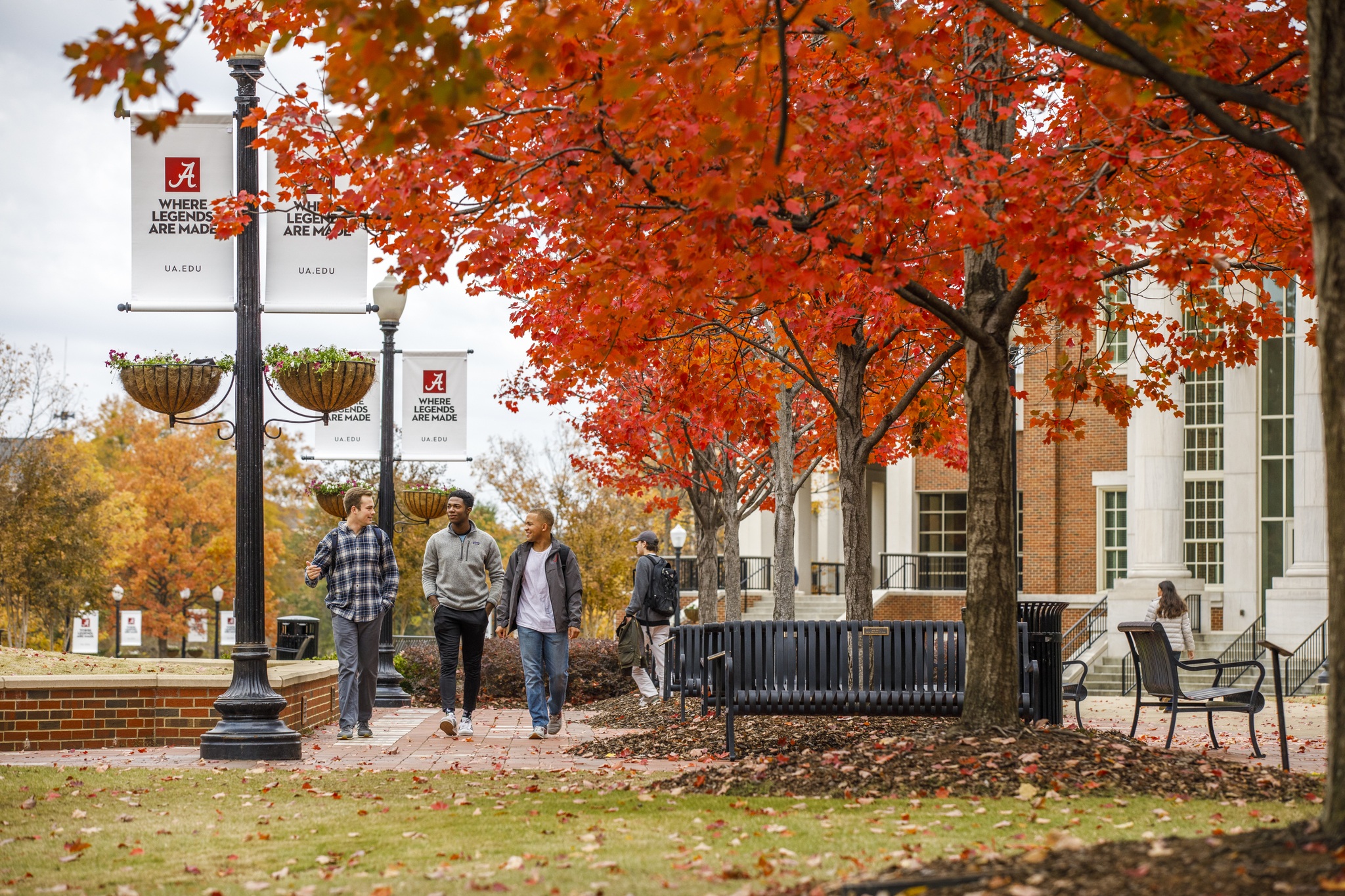 University of Alabama