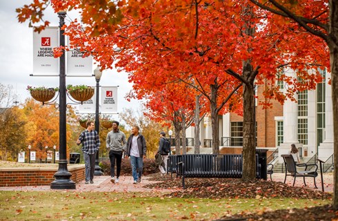 University of Alabama
