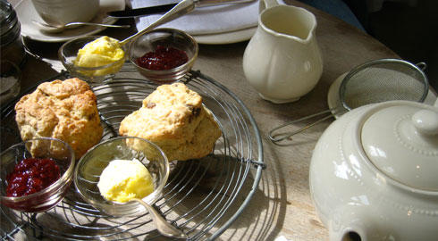 Với 5 điều này, bạn phải đi Du học Mỹ