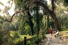 Bang Florida xinh đẹp có điều gì khiến bạn phải mến thương