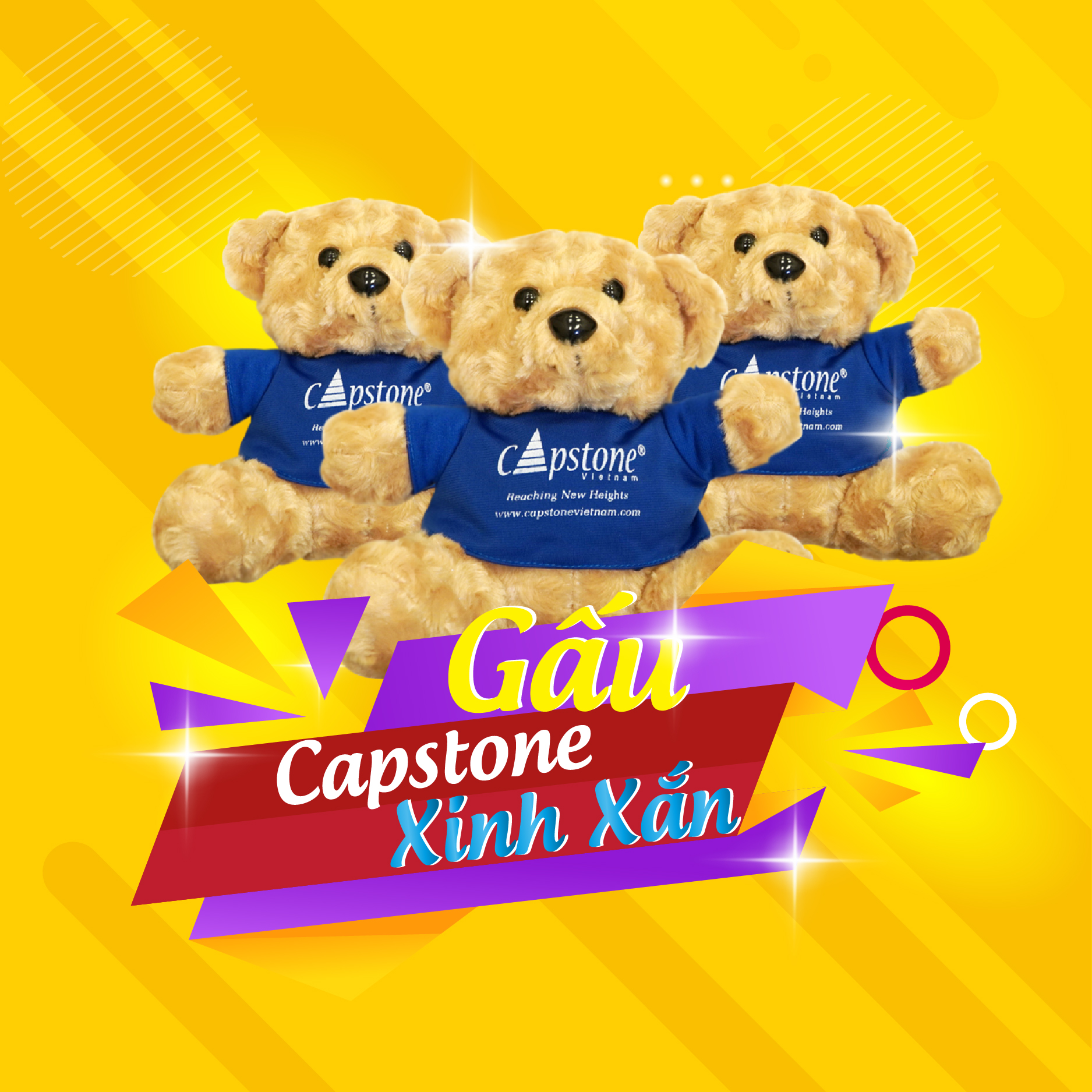 Gấu Capstone xinh xắn
