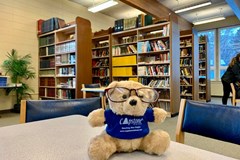 CAPSTONE BEAR và hành trình ghé thăm môi trường đa văn hóa NORTH CEDAR ACADEMY