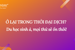 CẬP NHẬT THÔNG TIN QUAN TRỌNG CHO DU HỌC SINH TRONG MÙA COVID-19