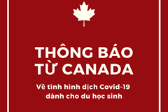 THÔNG BÁO TỪ CANADA DÀNH CHO DU HỌC SINH TRƯỚC TÌNH HÌNH DỊCH COVID-19