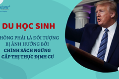 COVID-19 Du học sinh không bị ảnh hưởng bởi chính sách ngưng cấp thị thực định cư