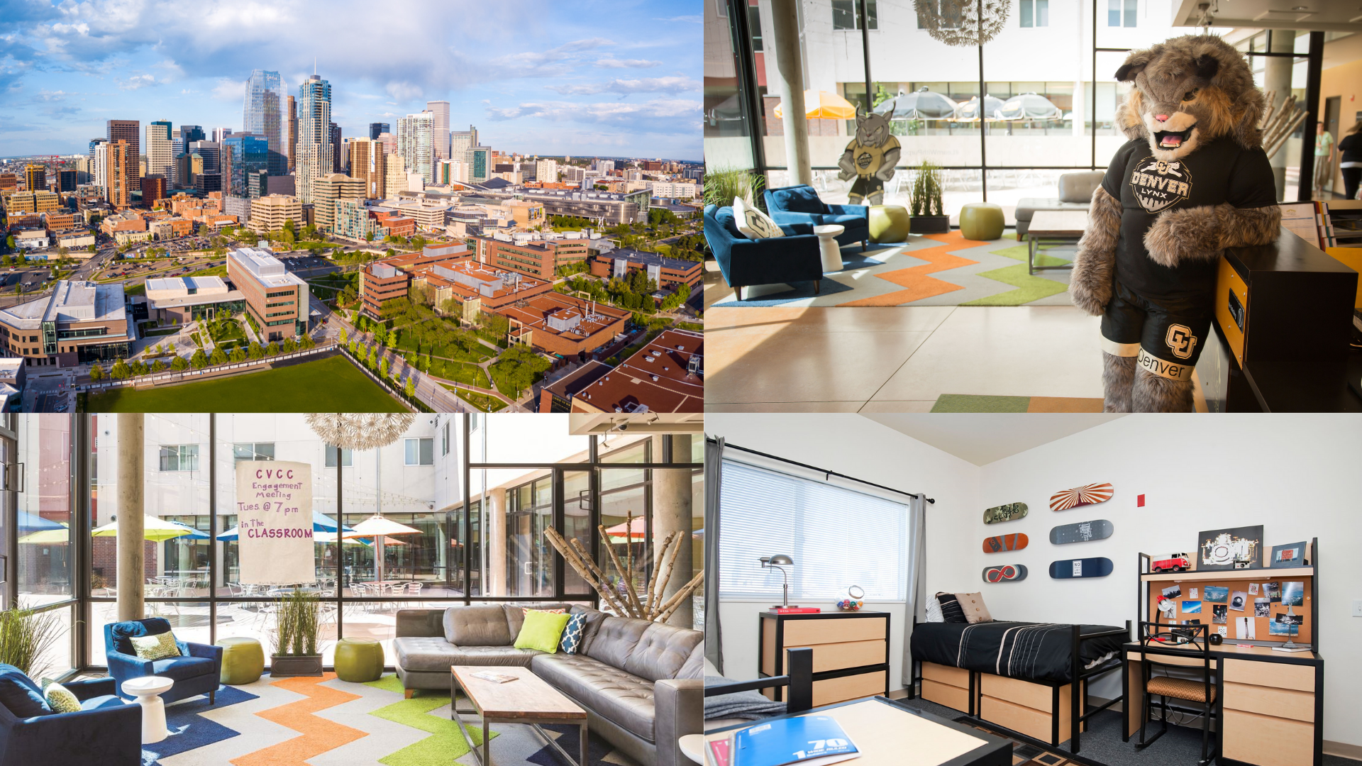 Học bổng lên tới 50% tại Đại Học Colorado Denver  Trường TOP nghiên cứu với cơ hội việc làm rộng mở 