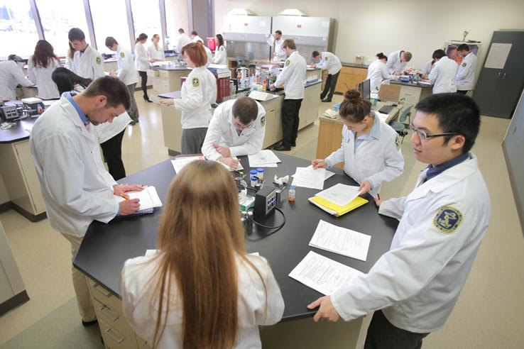 Ngành hệ thống thông tin (Information System) tại Mỹ