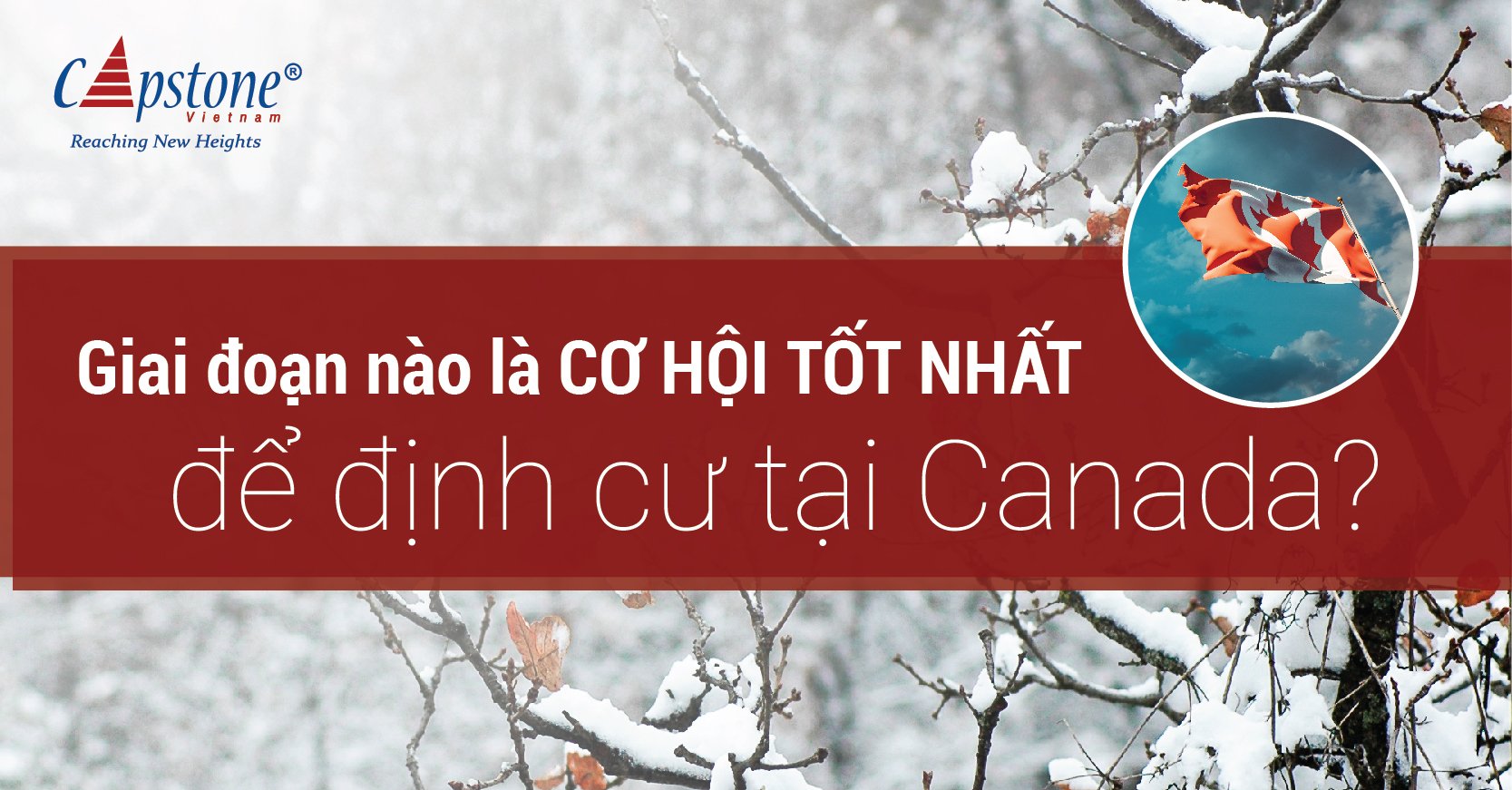 Giai đoạn nào là cơ hội tốt nhất để định cư Canada