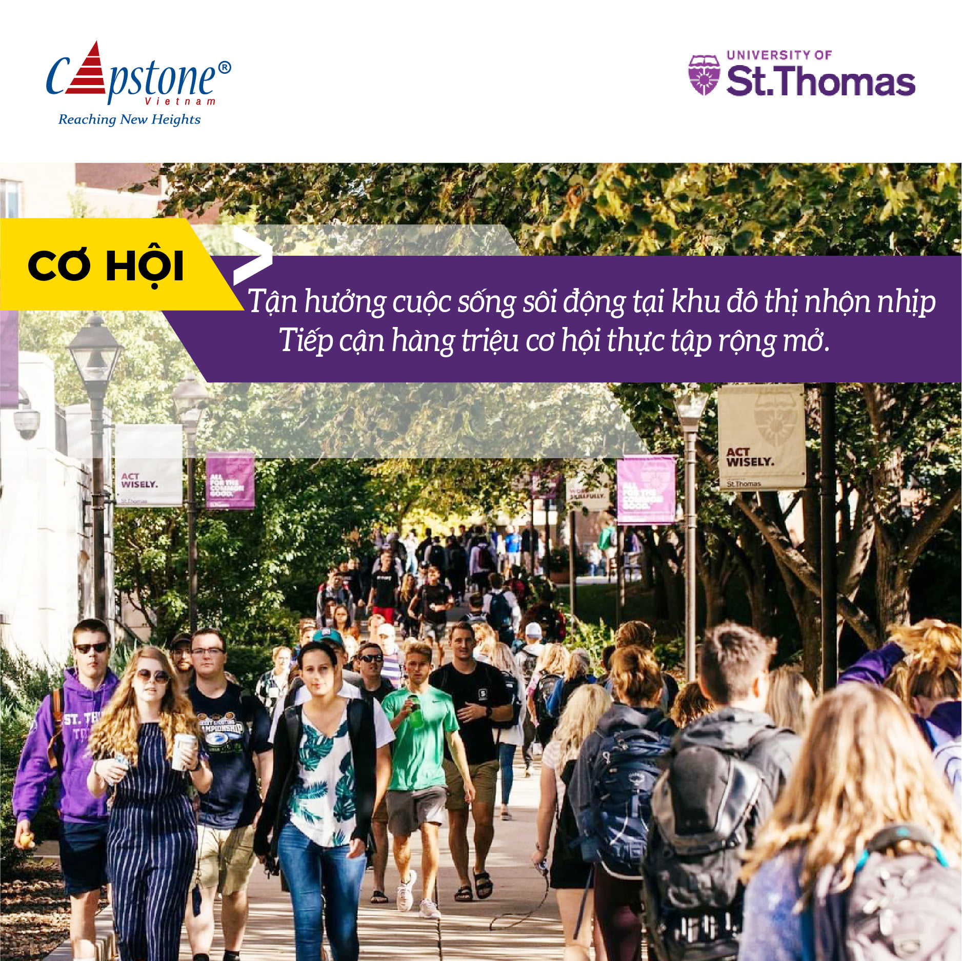 University of St. Thomas - trường đại học tư thục lớn nhất bang Minnesota - Mỹ