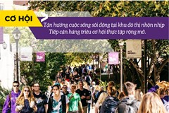 University of St. Thomas - trường đại học tư thục lớn nhất bang Minnesota - Mỹ