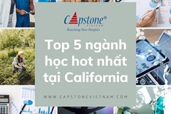 Top 5 Ngành Học Hot Nhất Tại California