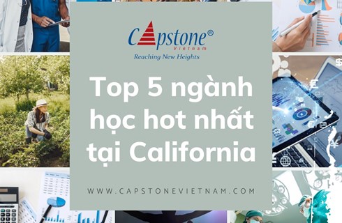 Top 5 Ngành Học Hot Nhất Tại California