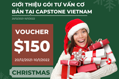 Giới thiệu Gói Tư Vấn Cơ Bản tại Capstone Vietnam [Bắt đầu chuyến đi của bạn với $150]