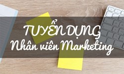 Chuyên Viên Marketing - Marketing Executive