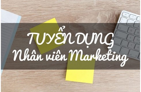 Chuyên Viên Marketing - Marketing Executive