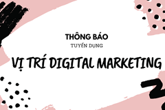 Chuyên Viên Digital Marketing – Digital Marketing Specialist