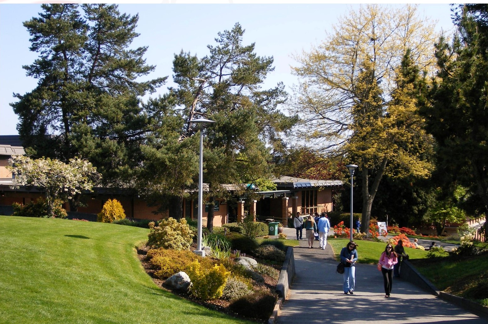 Tiết Kiệm Chi Phí Du Học Mỹ Với SHORELINE COMMUNITY COLLEGE