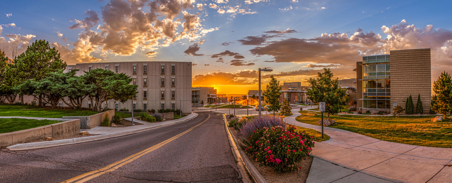 Colorado State University