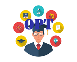 OPT tại Mỹ Hướng dẫn đầy đủ cho du học sinh