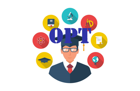 OPT tại Mỹ: Hướng dẫn đầy đủ cho du học sinh