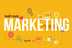 Chuyên viên sales marketing
