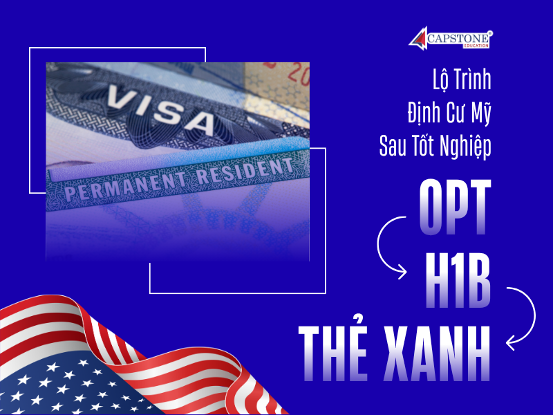 Lộ Trình Định Cư Mỹ Sau Tốt Nghiệp: Từ OPT Đến H1B Và Thẻ Xanh 